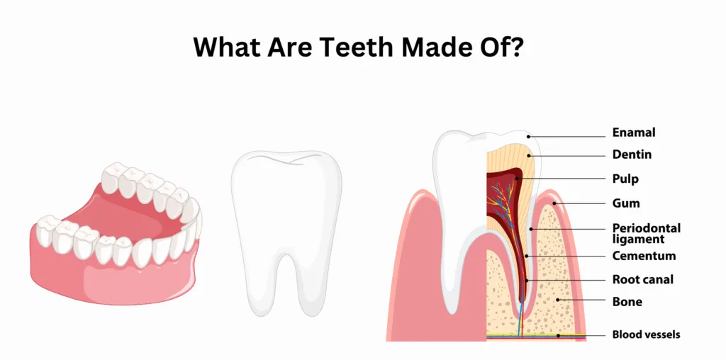Teeth Made Of